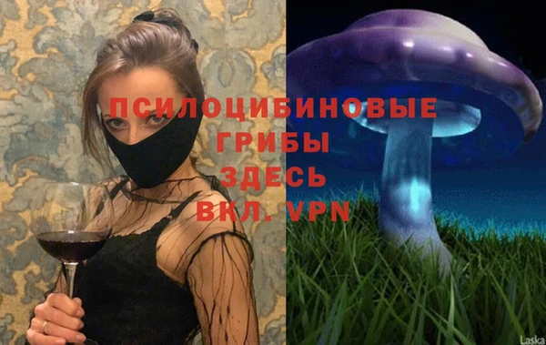 эйфоретик Абинск